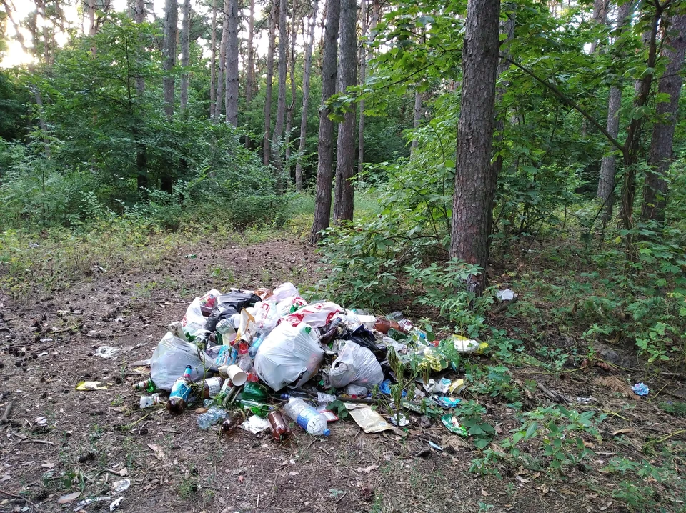 В регионе все еще много свалок