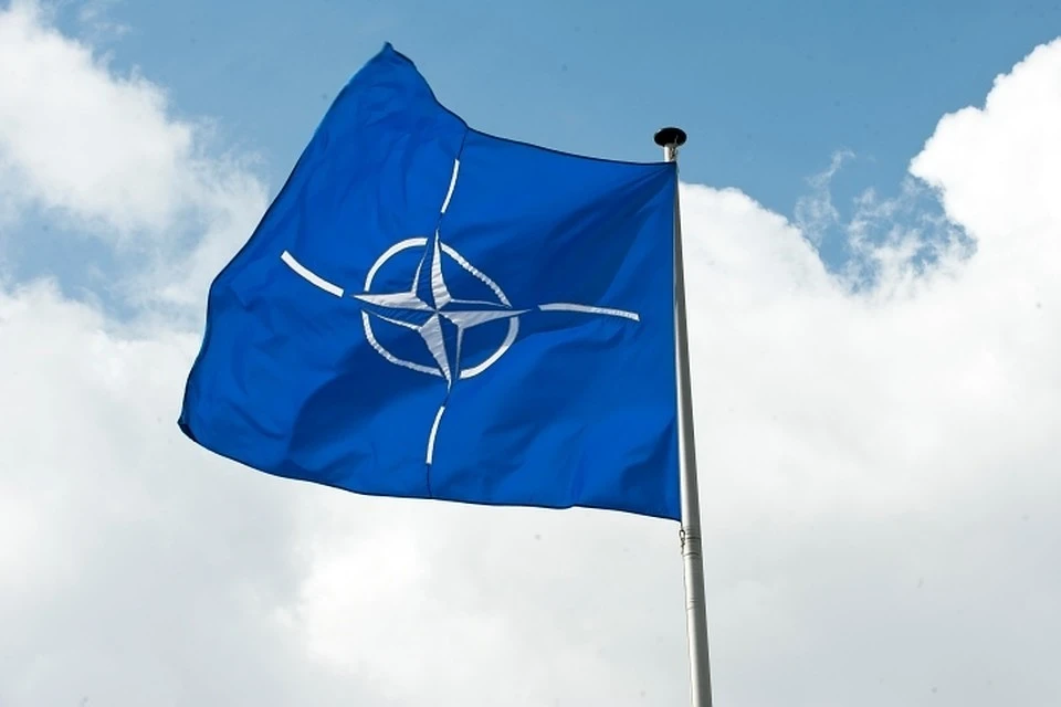 Германия заявила, что вопрос вступления Украины в НАТО не стоит на повестке дня