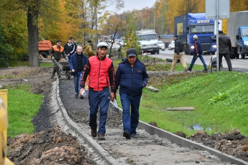 Гастарбайтеры обратились к юристу, который от их имени написал жалобы в ведомства