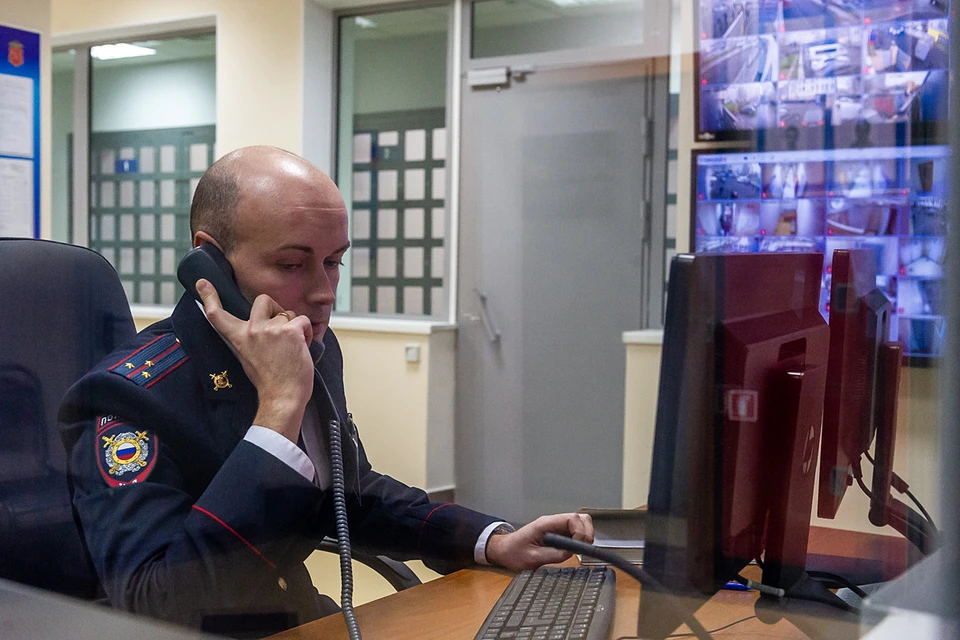 В настоящее время возбуждено 24 уголовных дела