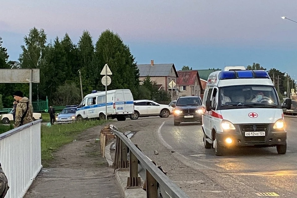 В Лесосибирске по тревоге подняты силовики: в городе видели медведя. Фото: Лесосибирск-инфо