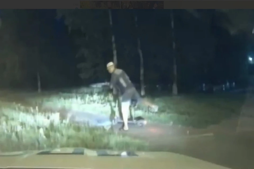 Фото: скриншот с видео МВД