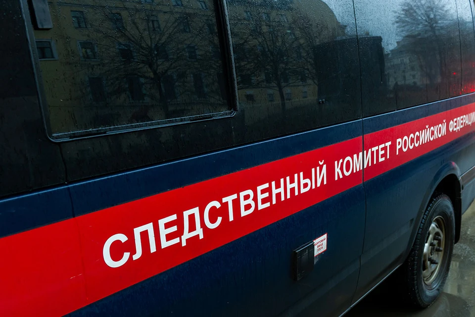 По одной из версий, причиной смерти могла стать остановка сердца, спровоцированная жарой.