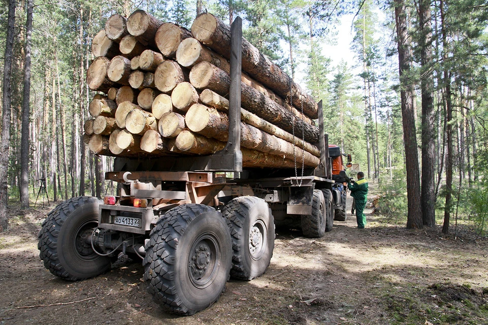 В России с 1 июля создается единая система учета леса. Закон был предложен и законодательно обеспечен единороссами.