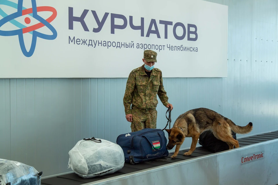 За месяц в Челябинске приземлились 37 самолетов из-за границы. Фото: Челябинская таможня