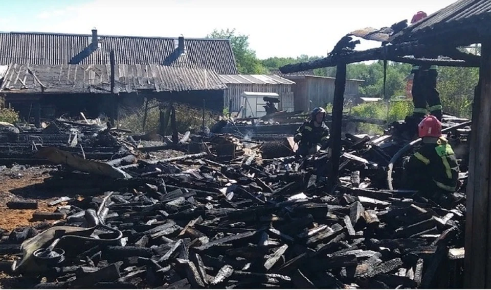 Фото: МЧС России по Вологодской области
