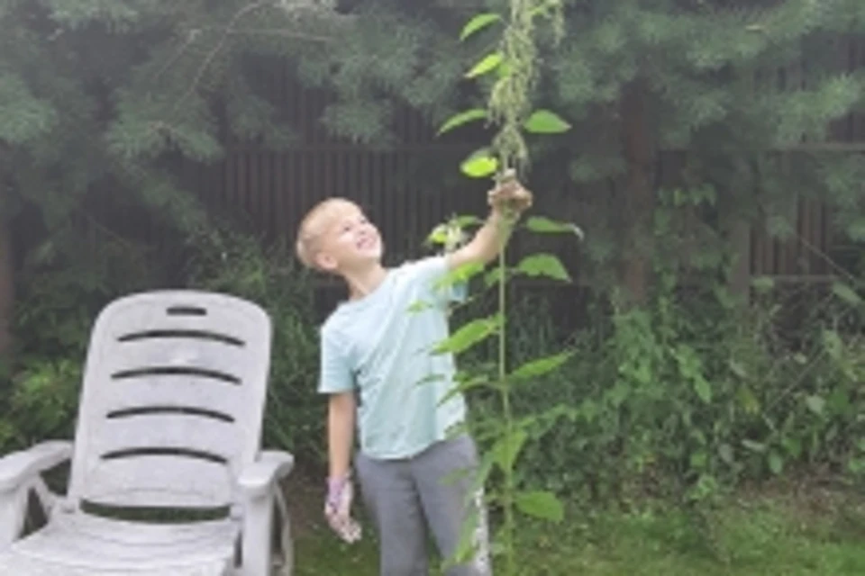 Народный календарь на 6 июля