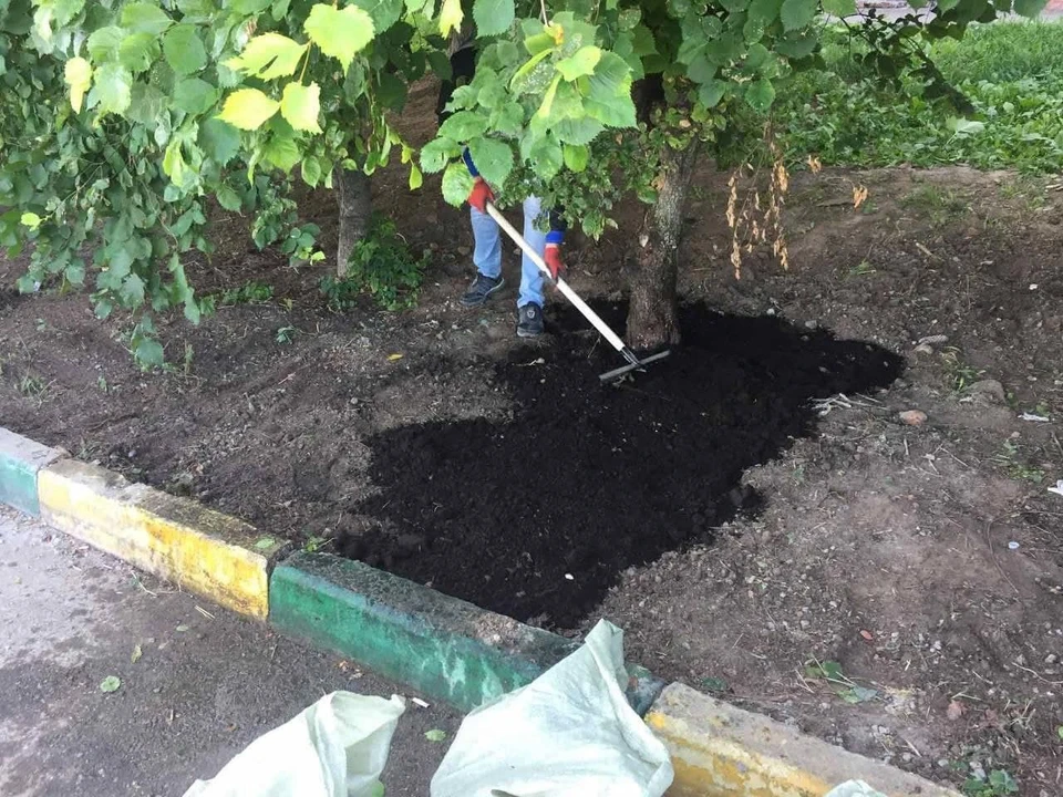 Бетон убрали из-под деревьев на набережной Федоровского в Нижнем Новгороде. ФОТО: предоставлено КП