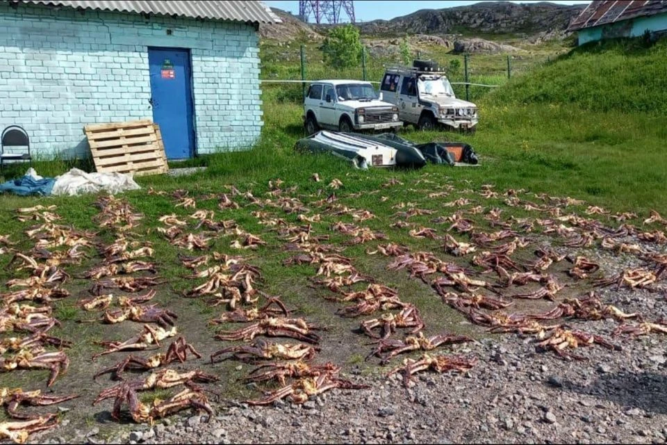 Автомобиль мужчины и морские деликатесы правоохранители изъяли. Фото: ПУ ЗАР