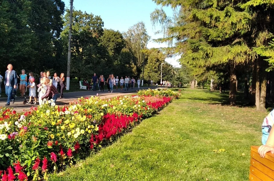 Парк боевка в курске фото