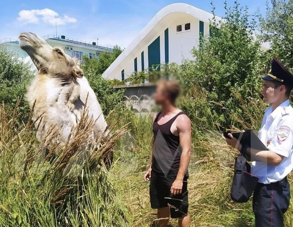 Фото: ОМВД России по городу Анапе