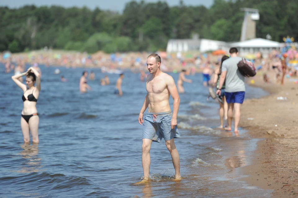 Вода в Финском заливе прогрелась до 24 градусов