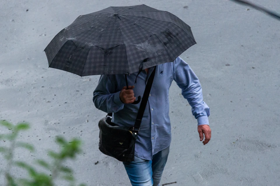МЧС объявило штормовое предупреждение в Ленобласти 12 июля