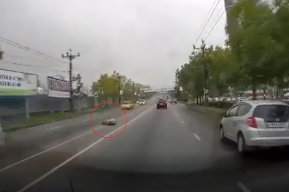 В Хабаровске ищут свидетелей резонансного уголовного дела