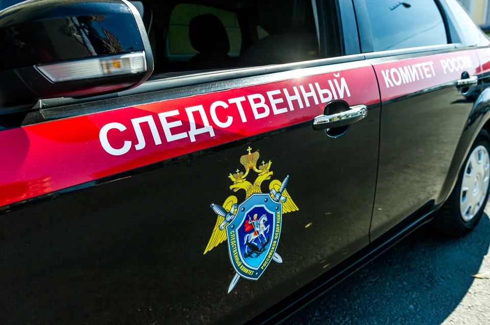 Мужчину в Петербурге задержали за изнасилование двух девочек