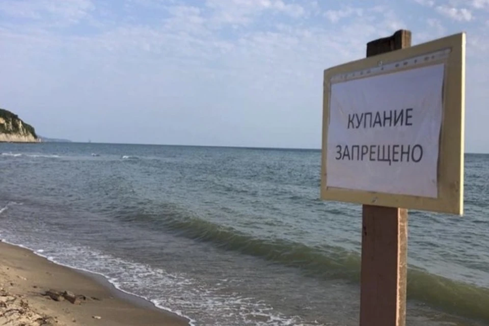 Фото: пресс-служба администрации Краснодарского края