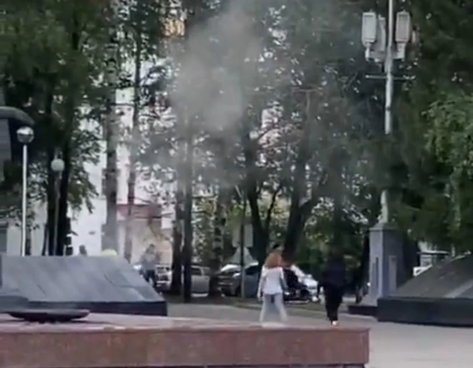 Фото: скриншот видео