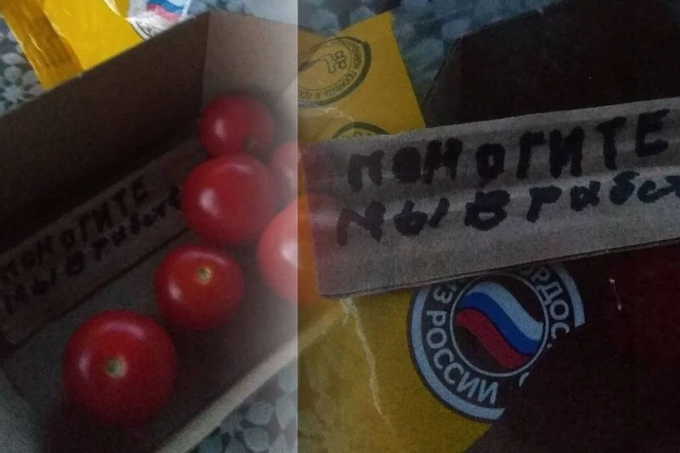 Сибирячка купила в супермаркете упаковку помидор черри и нашла внутри послание с просьбой о помощи. Фото: предоставлено героем публикации издания «Прецедент»