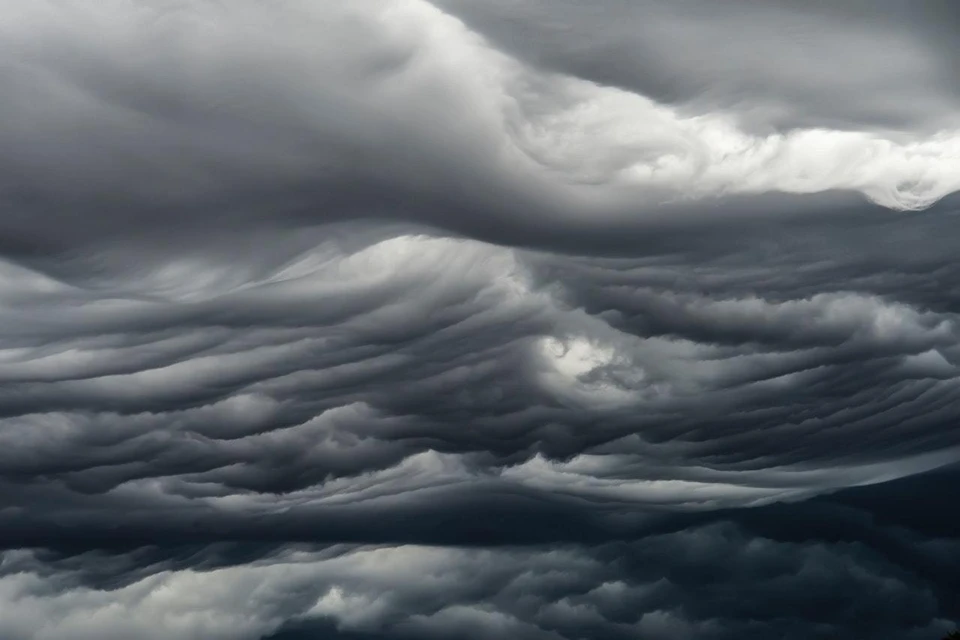 Фото: pexels.com