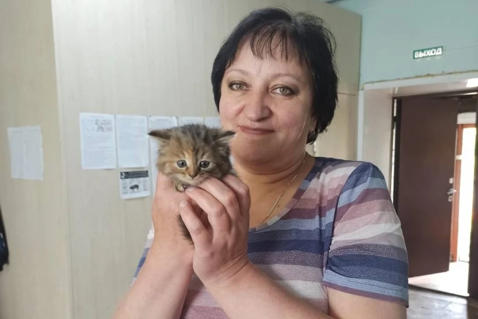 В Забайкалье в ветлечебнице на работу взяли котенка Ваську. Фото: Государственная ветеринарная служба Забайкальского края
