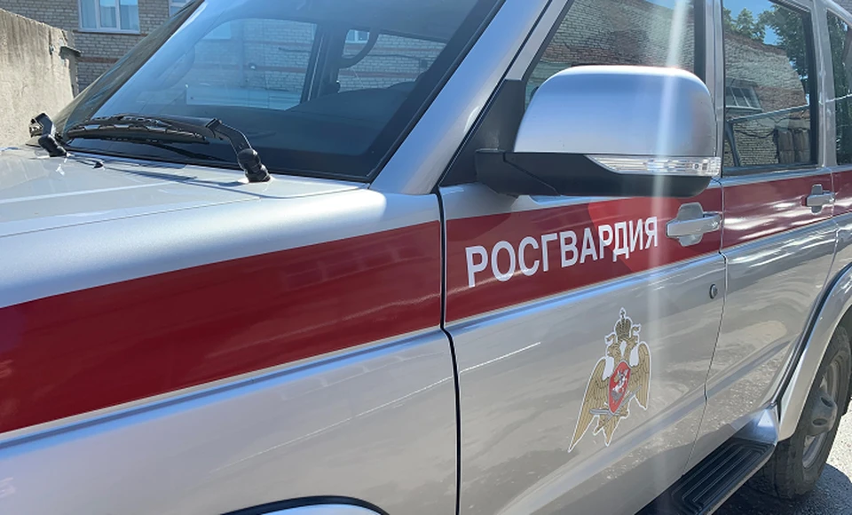 Незадачливый грабитель не успел вынести из коттеджа две пилы, потому что вовремя подоспел наряд Росгвардии. Фото предоставлено пресс-службой ведомства.