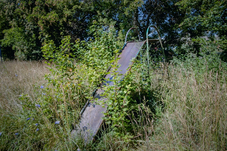 фото ОНФ по Владимирской области