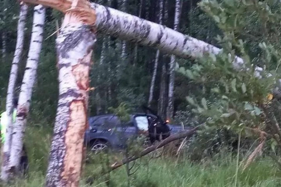 ДТП произошло ночью на трассе "Золотое кольцо"