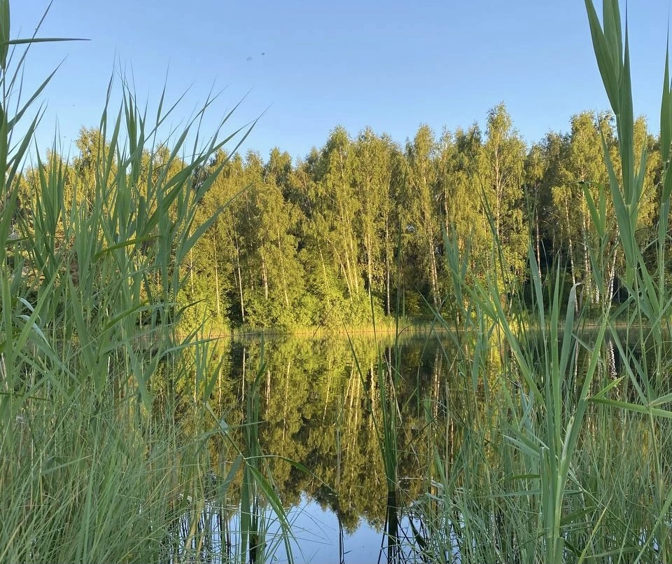 В Смоленской области снова объявлен повышенный уровень погодной опасности.