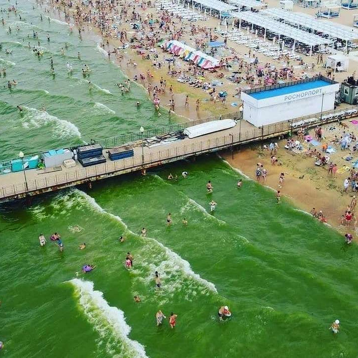 Когда цветет море в геленджике. Море цветет. Анапа море. Анапа Благовещенская море цветет.