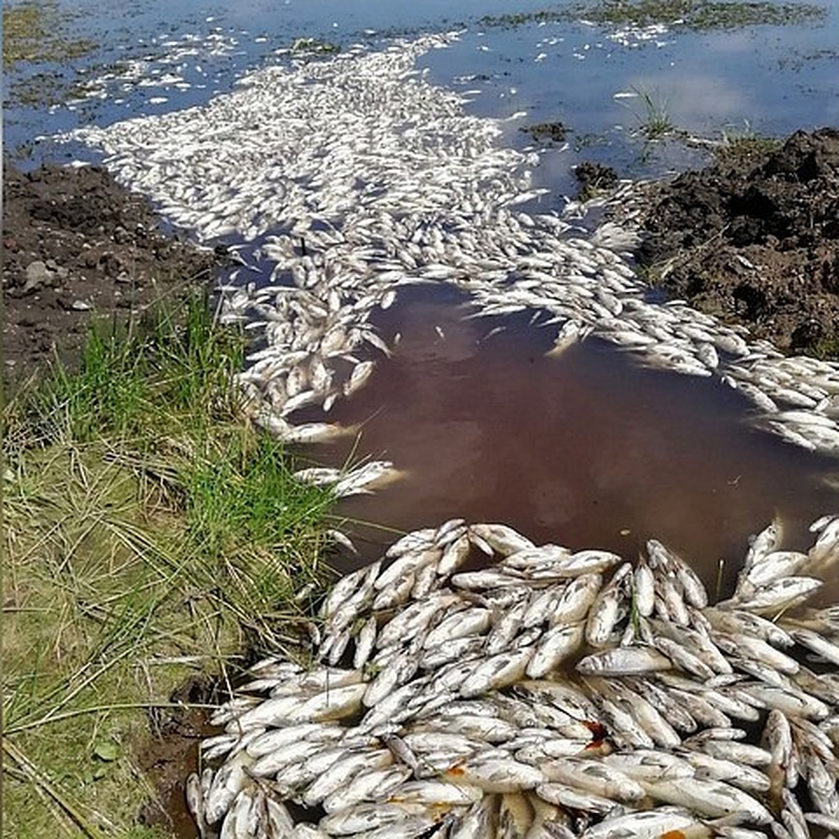 Карта сибай худолаз