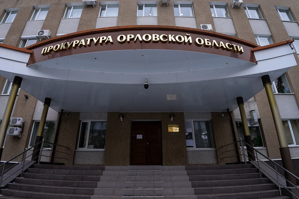 Многодетная семья из Орловского района добилась материнского капитала через суд