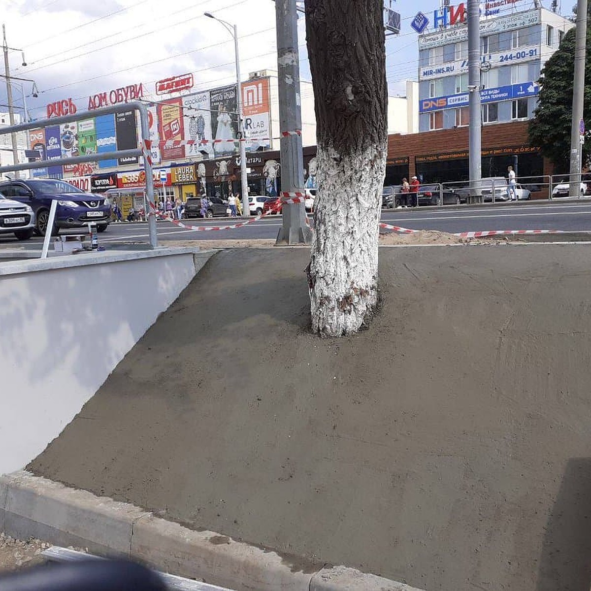 Зато газон не сползет: на Московском шоссе в Самаре дерево закатали в бетон  - KP.RU