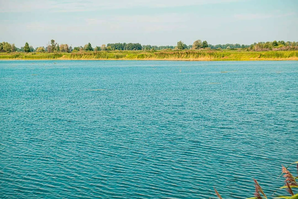 Сохранение водных биоресурсов - важное направление экологической программы Группы «Сибантрацит». Фото: Сергей ТИМОФЕЕВ.