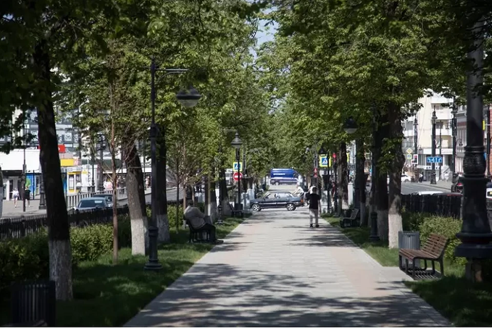 Старые липы заменят на новые.