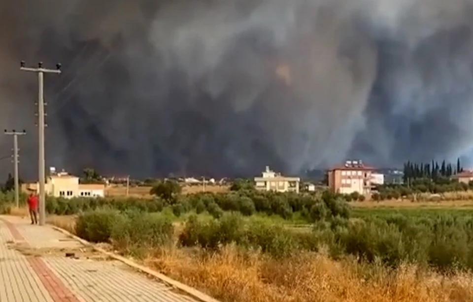 Видео лесных пожаров в Анталье появилось в сети. Фото: кадр из видео