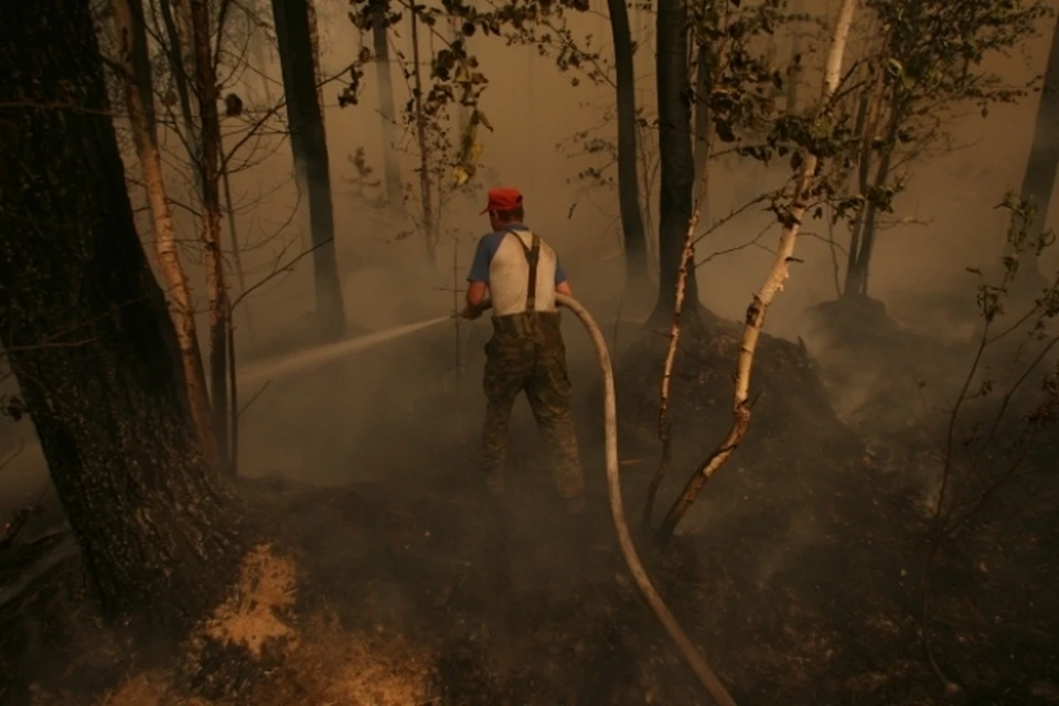 В Якутии за сутки ликвидировали 15 природных пожаров