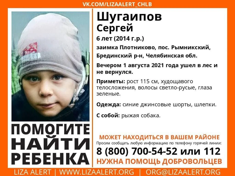 Ребенок пропал в Брединском районе. Фото: vk.com/lizaalert_chlb