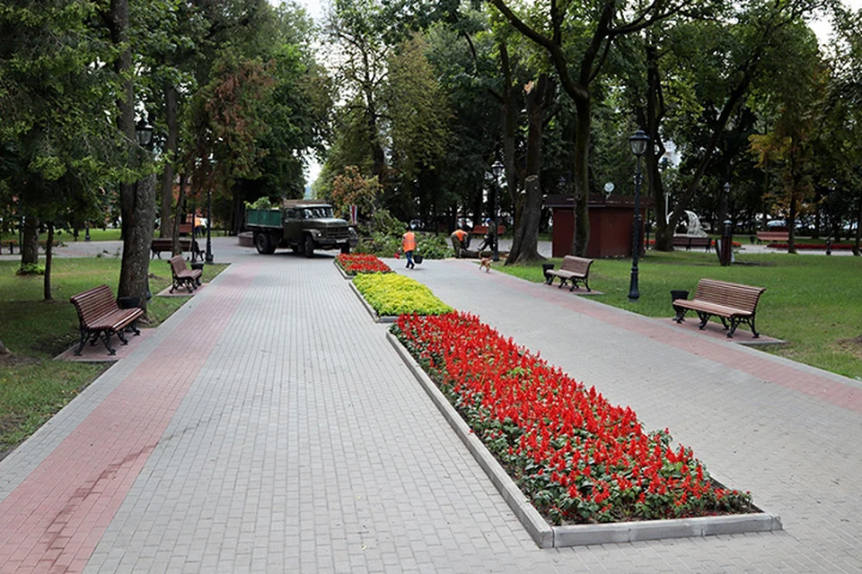Фото: пресс-служба Брянской городской администрации.