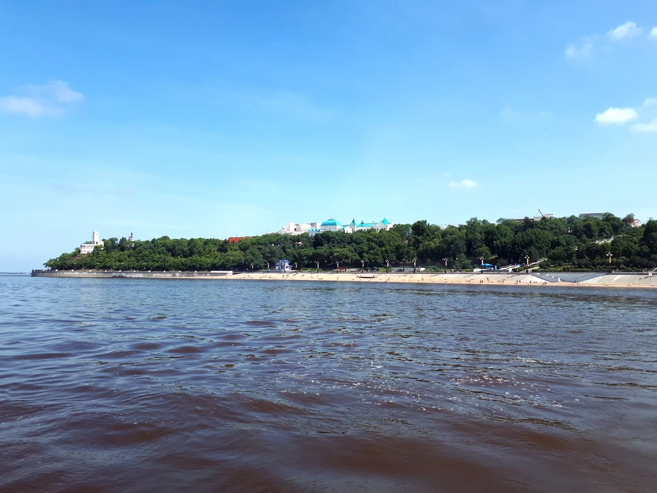 Хозяйственная деятельность человека не должна наносить вред экосистеме Амура.