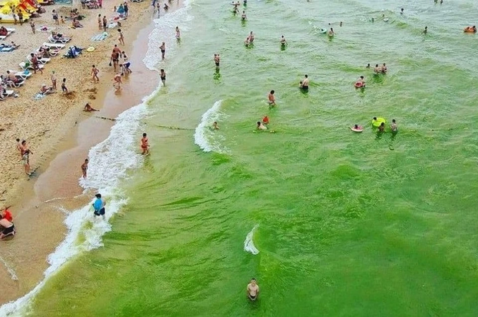 Какое море сейчас в анапе по чистоте. Черное море цветет Анапа. В Анапе зацвело море. Цветение моря Витязево Анапа.