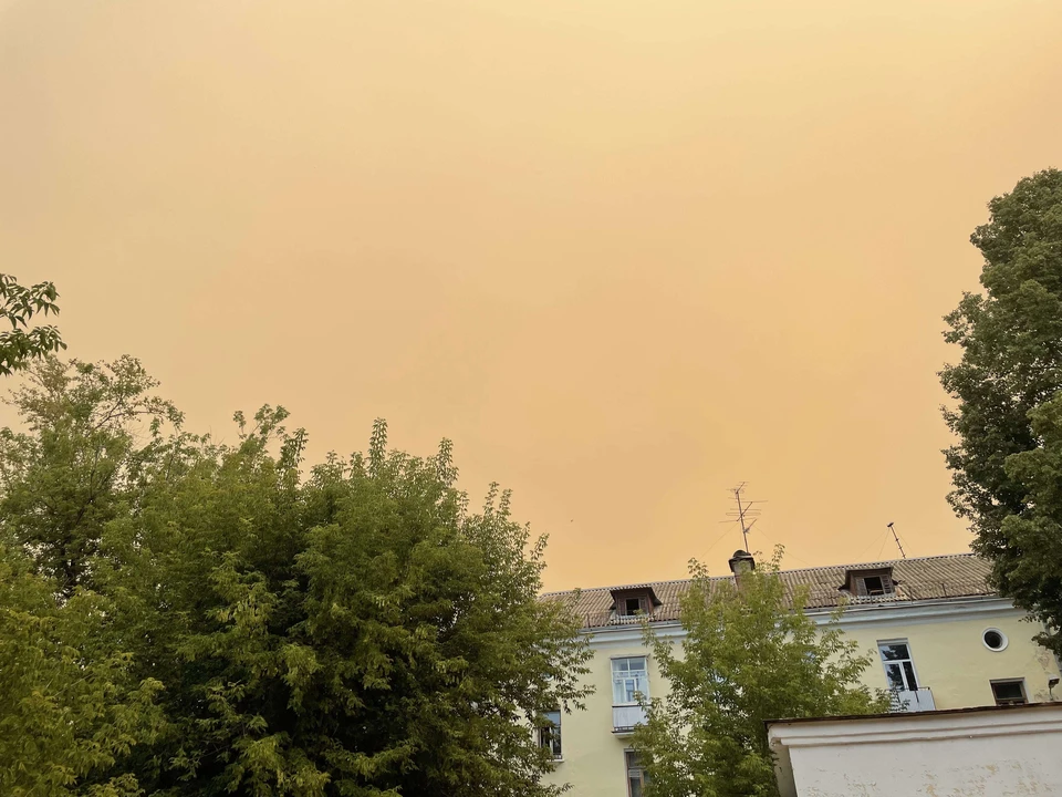 "Солнце не видно сквозь дым": Из-за пожара в Мордовском заповеднике Саров окутали клубы дыма