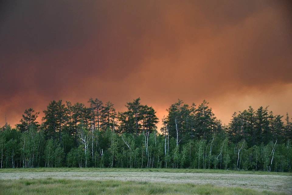 На севере России полыхают лесные пожары.