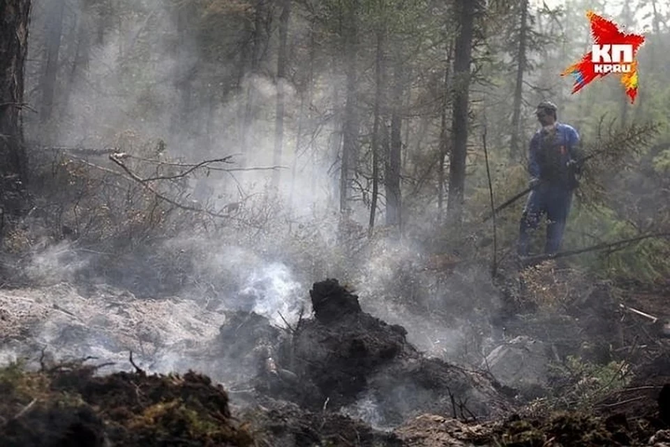 Минлесхоз Башкирии озвучили статистику по природным пожарам на 9 августа