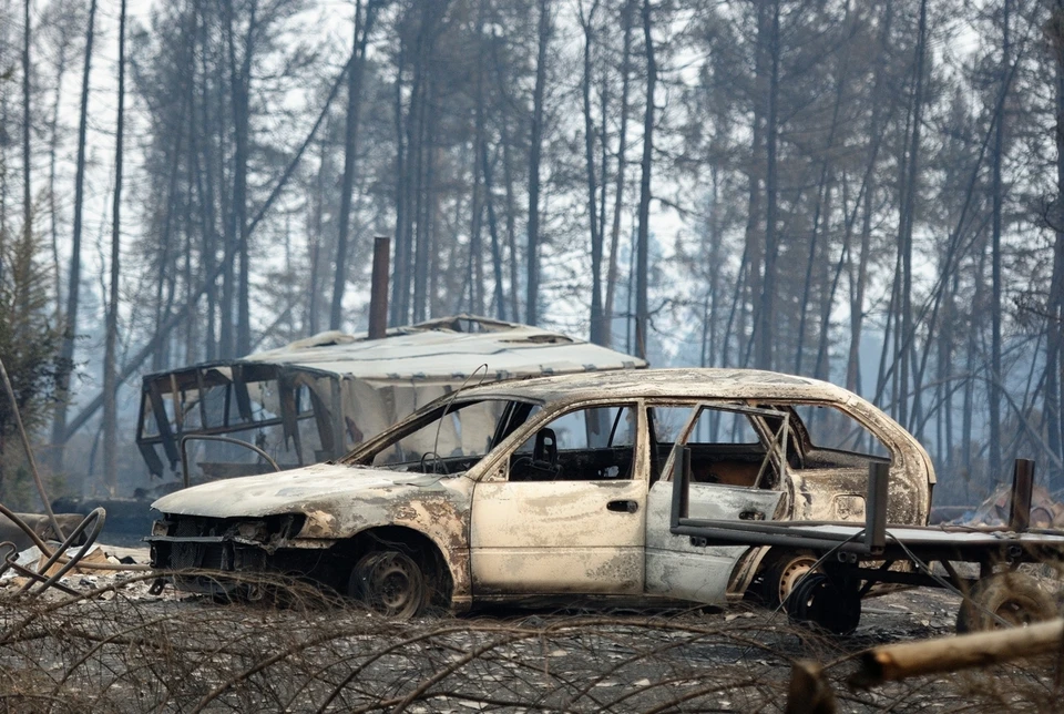 «Спасаетесь сами – хотя бы отвяжите животных»: в Якутии люди бросают все, спасаясь от страшных пожаров . Фото: «Зоополис», Якутск