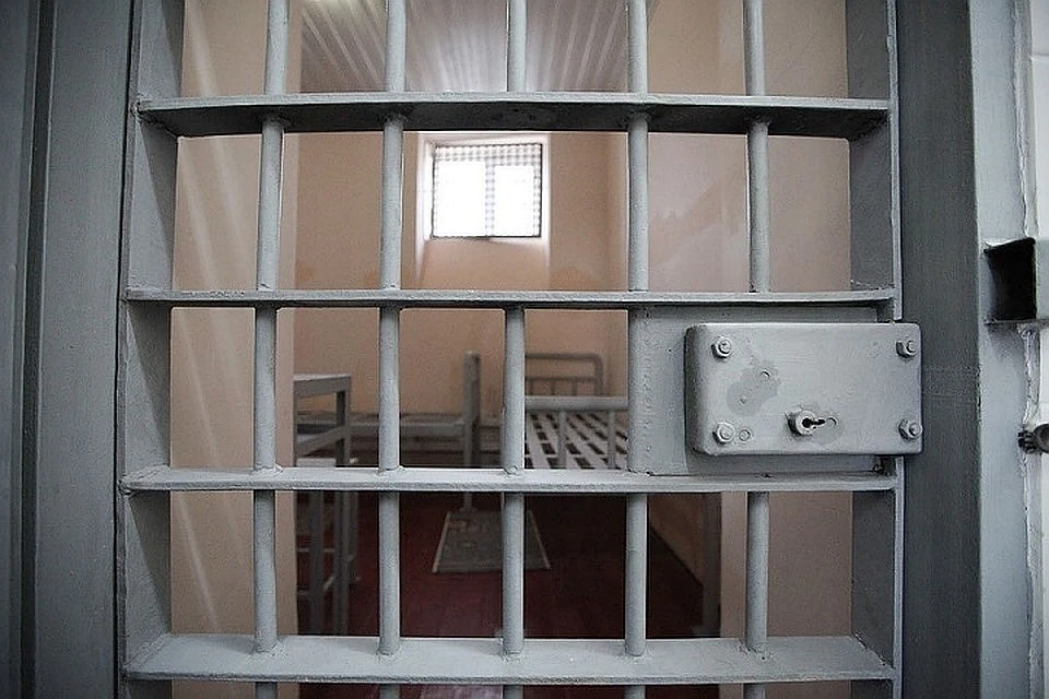 В Подмосковье задержали двоих заключенных, сбежавших из ИВС в Истре