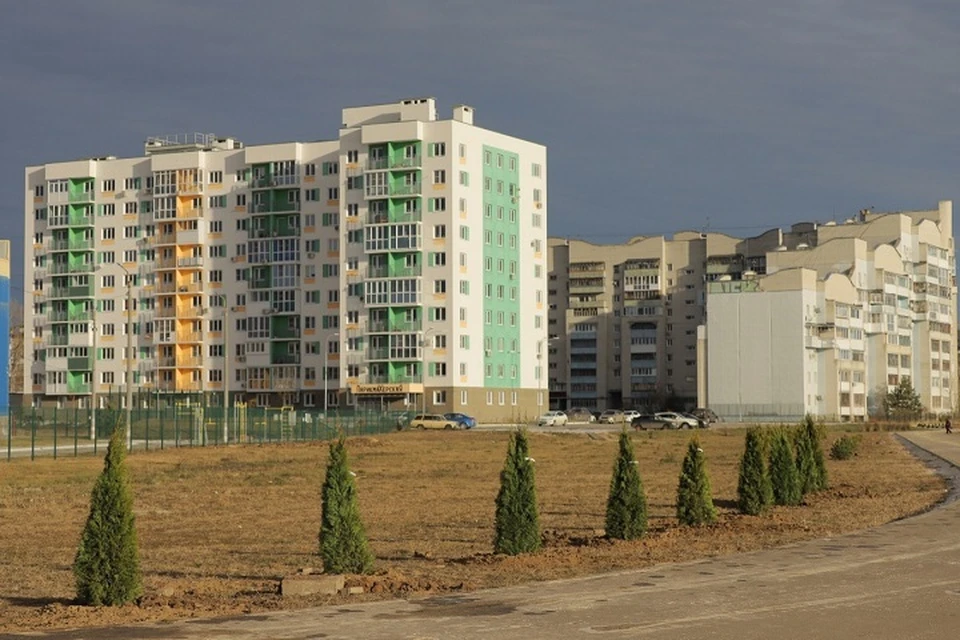 В Дзержинске по итогу 2021 года будет высажено более 24 тысяч саженцев деревьев и кустарников