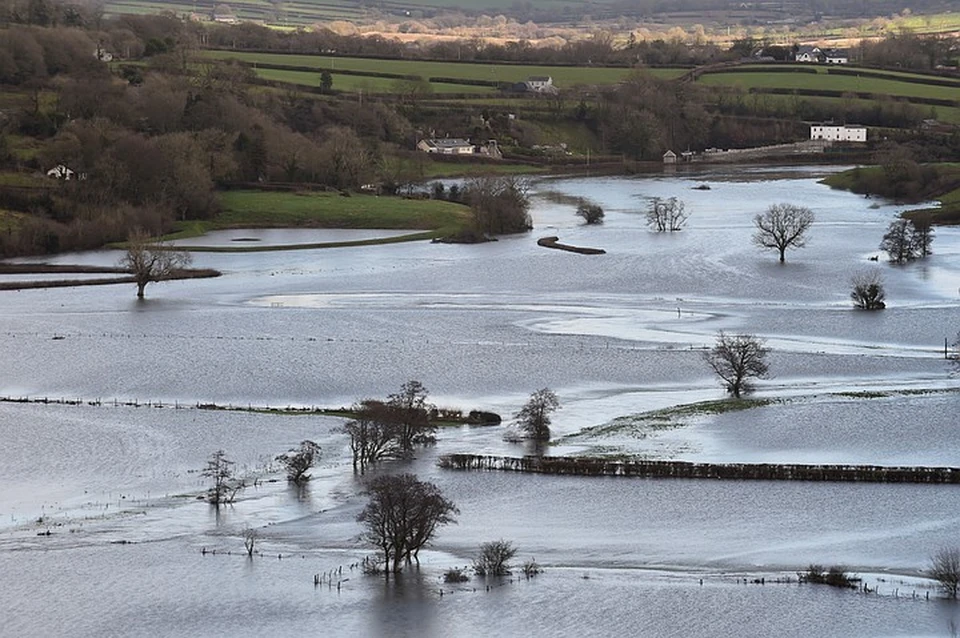 Flood field. Flood field