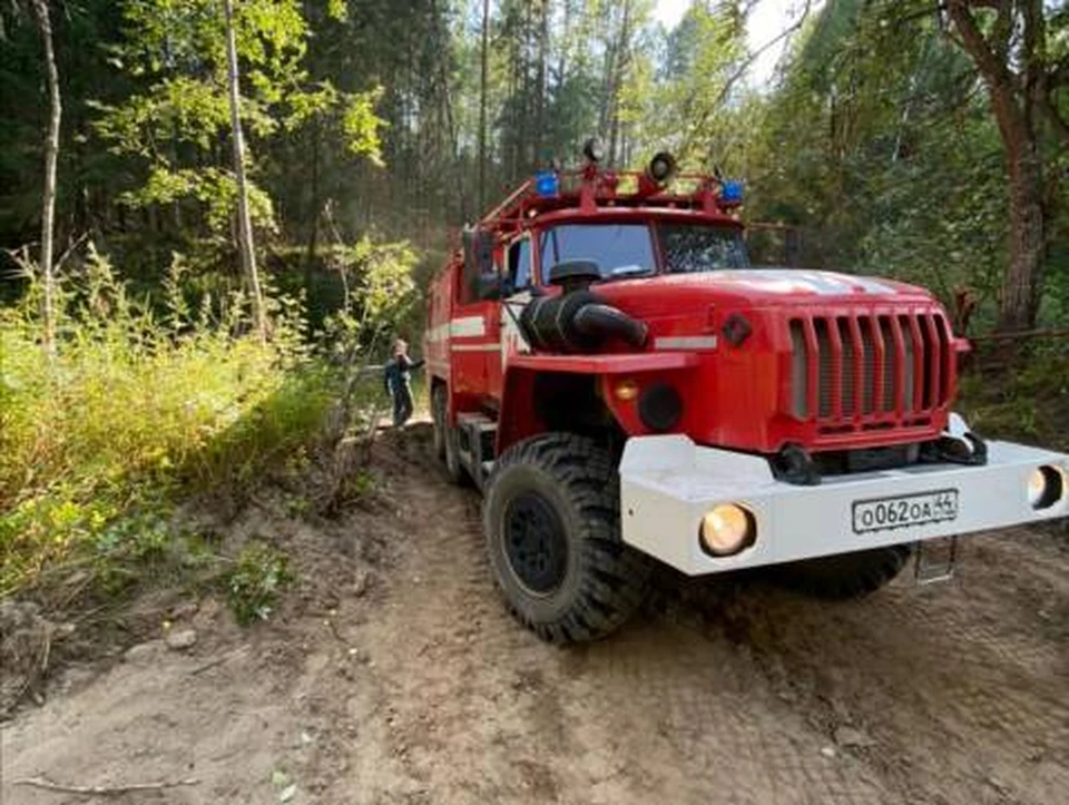 Фото: пресс-служба губернатора Костромской области