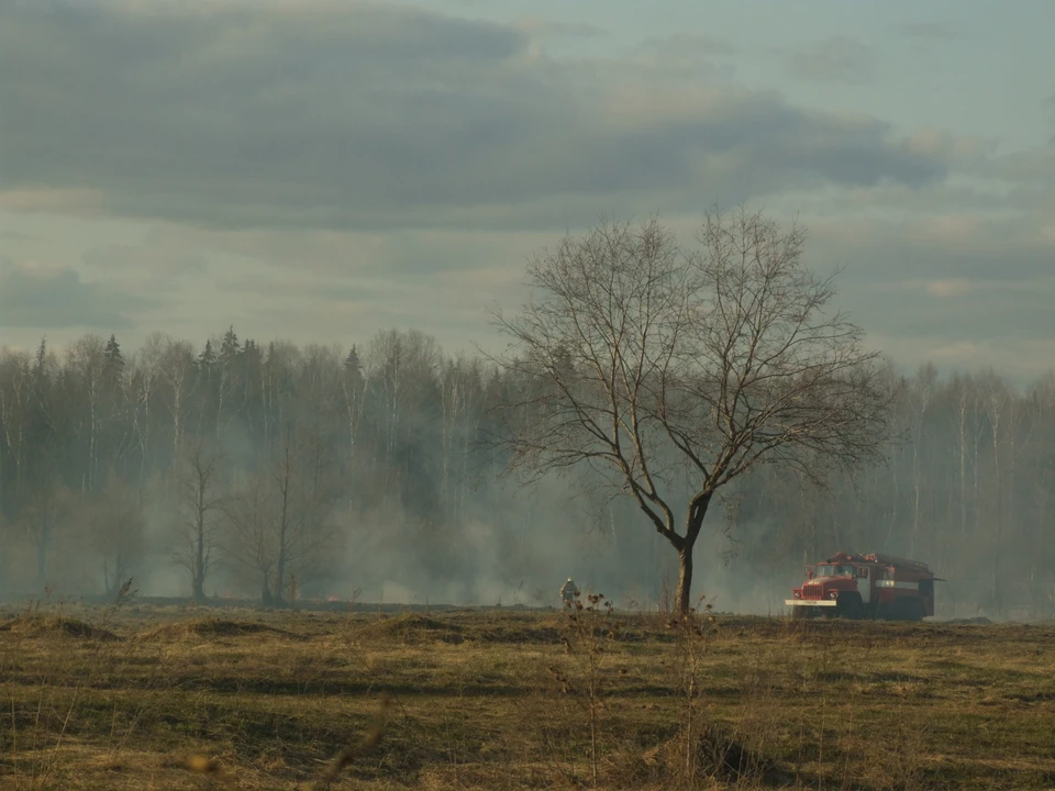 Фото: архив КП