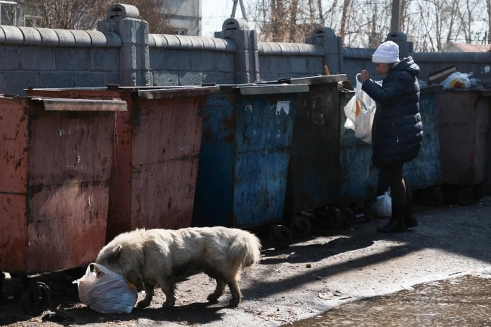 Фото: Юлия Пыхалова
